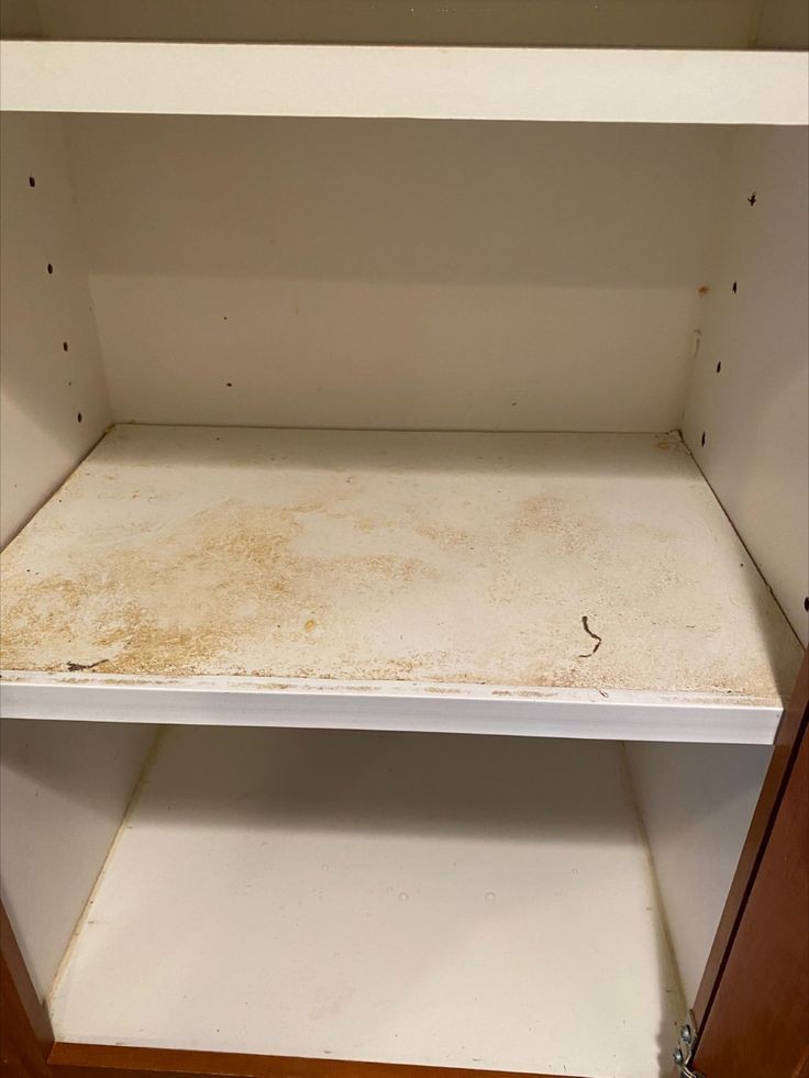 Cleaning Project